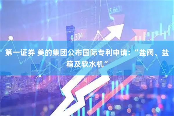 第一证券 美的集团公布国际专利申请: “盐阀、盐箱及软水机”