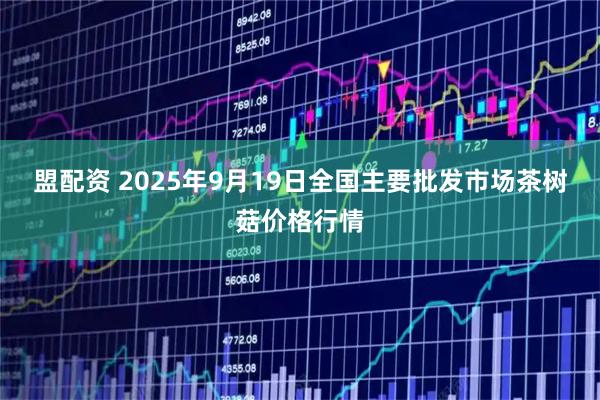 盟配资 2025年9月19日全国主要批发市场茶树菇价格行情