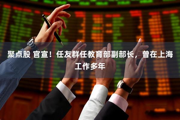 聚点股 官宣！任友群任教育部副部长，曾在上海工作多年