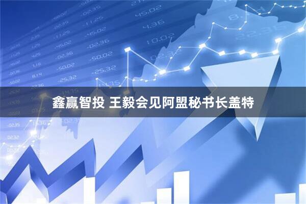 鑫赢智投 王毅会见阿盟秘书长盖特