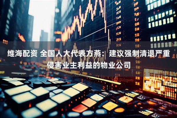 维海配资 全国人大代表方燕：建议强制清退严重侵害业主利益的物业公司